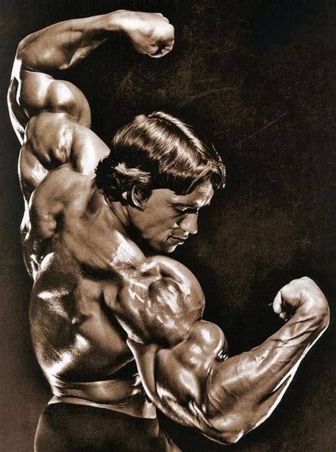 Arnold is god monstermassbuilder.com | Arnold schwarzenegger ...