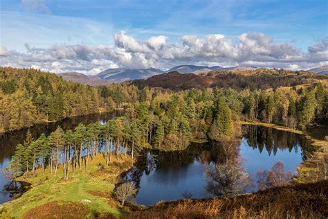 Tarn Hows walk - walks from Coniston - Lake District walks