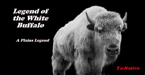 Legend of the White Buffalo