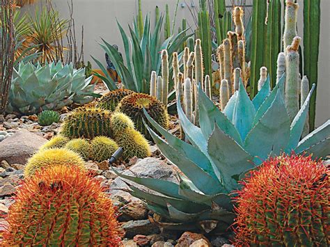 50 Easy Southwestern Garden Designs You Can Build Yourself To Accent Your Home | Native Plants ...