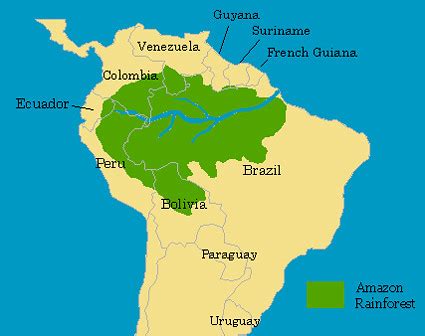 AMAZON RAINFOREST | Credit: Enviro-Map.com The Amazon Rainfo… | Flickr