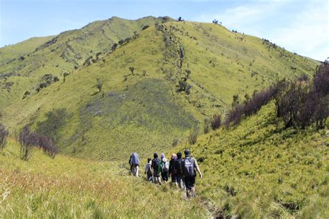 Guide Gunung Merbabu : Jangan Takut Mendaki