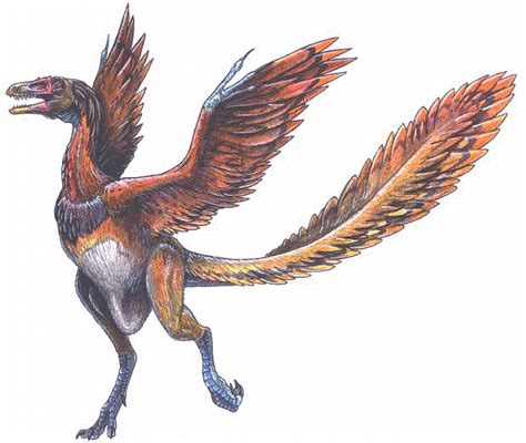 Archaeopteryx - Alchetron, The Free Social Encyclopedia