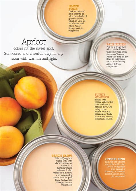 Apricot Paint Colors: Tips For Choosing The Right Shade - Paint Colors