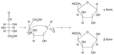 24.6 The Molecules of Life - Chemwiki