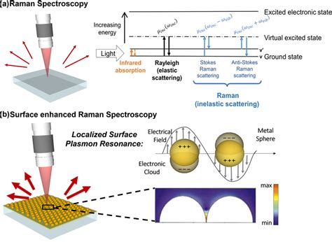 Raman vs SERS phenomenon. a Schematic of Raman Spectroscopy and energy... | Download Scientific ...