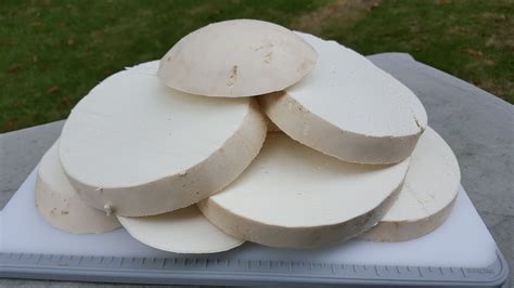 How To Eat Calvatia Gigantea - Recipes.net