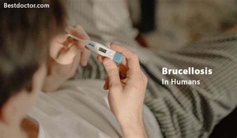 Brucellosis In Humans- Symptoms, Causes, And Treatment