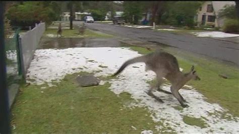 Heavy Snowfall Across Parts Of Australia | World News | Sky News