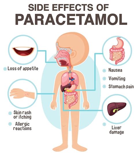 Premium Vector | Human anatomy diagram cartoon style of paracetamol side effects