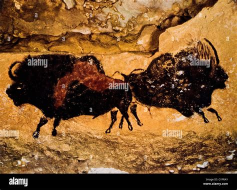 Cave Painting, Two Prehistoric Bison, Lascaux, France Stock Photo ...