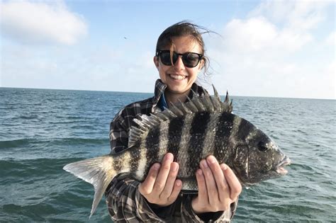 Sheepshead Fishing: All You Need to Know (Updated 2023)