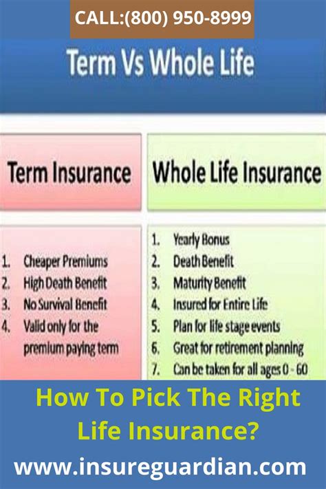 What Is Whole Life Insurance Vs Term - Insurance Reference