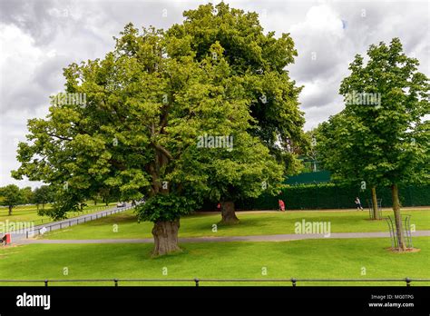 Phoenix park, Dublin, Ireland Stock Photo - Alamy