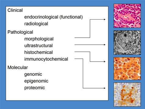 ETX-PIT-3A-FIG 01 - Endotext