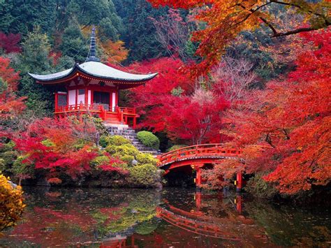 Daigo-ji Temple in Autumn - Kyoto, Japan.