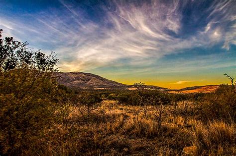 Photo Safari: Pilanesberg National Park, South Africa - Apogee Photo ...