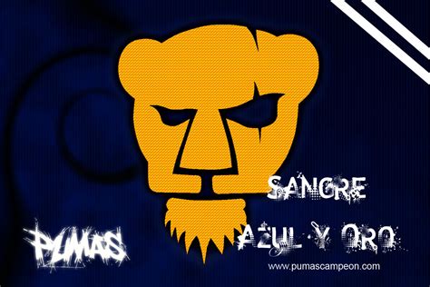 🔥 [50+] Pumas UNAM Wallpapers | WallpaperSafari