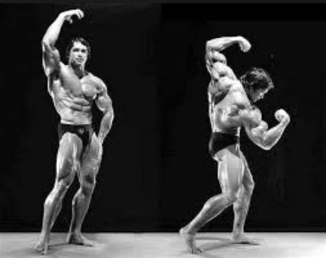 Famous arnold pose | Arnold schwarzenegger, Arnold pose, Arnold ...