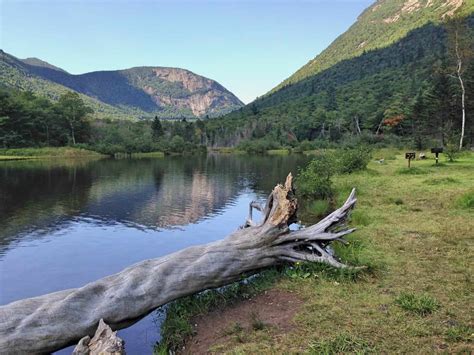 Top 3 Daring Crawford Notch State Park Trails - USA Mocha