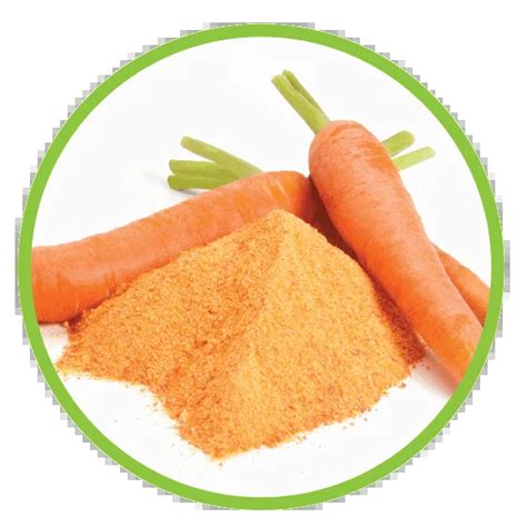 High Quality Natural Carrot Powder - Buy Carrot Powder,Natural Carrot ...