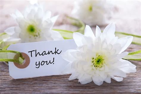 Thank you flowers Stock Photos, Royalty Free Thank you flowers Images ...