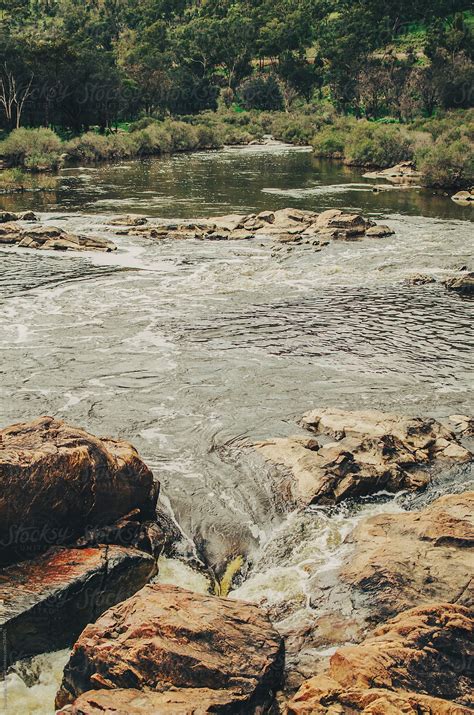 White Water Rapids by Dominique Chapman