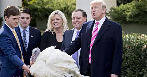 Trump Finds White House Happiness at Turkey Pardon