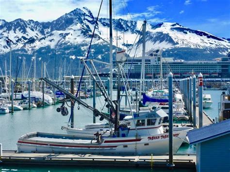 Cruising to Seward Alaska in 2021 | Seward alaska, Alaska cruise ports ...