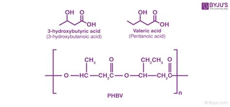 Biodegradable Polymer and Non Biodegradable Polymers