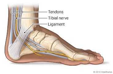 Best Treatment for Foot Pain: Tarsal Tunnel Sheboygan Wi