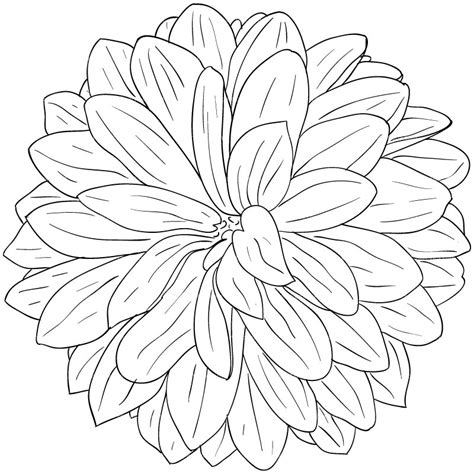 Free Dahlia Flower Cliparts, Download Free Dahlia Flower Cliparts png images, Free ClipArts on ...