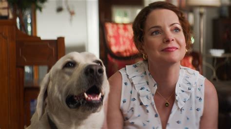 A Heartwarming True Story About a Dog Finds Home in the Netflix Top 10