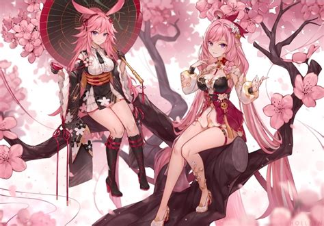 Cherry blossom : r/houkai3rd