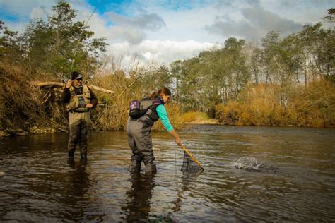 Specials on womens fly fishing gear