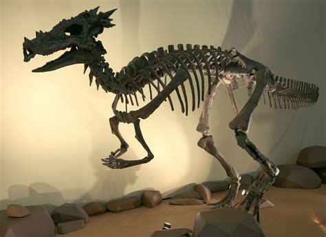 Dracorex | Prehistoric animals, Prehistoric dinosaurs, Dinosaur