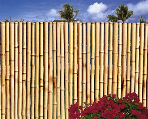 Bamboo Fence- Sold In 8 Foot Sections Choose from 4 Heights-Natural Color - Fence Panels