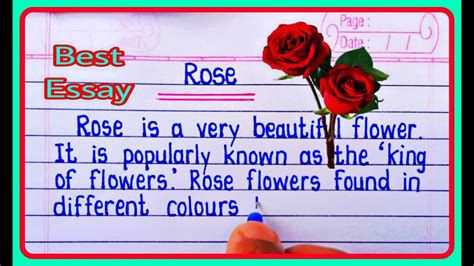 Essay On Rose || Rose Essay In English Writing 🌹 Few Lines About Rose Flower - YouTube