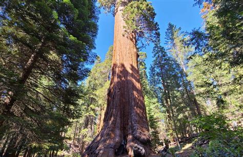 10 Best waterfall trails in Angeles National Forest | AllTrails