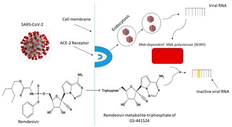 Sci. Pharm. | Free Full-Text | Remdesivir—Bringing Hope for COVID-19 ...