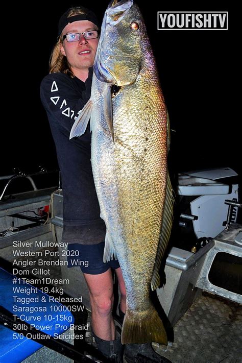 Mulloway Tagging Program - Summer Update - Nature Glenelg Trust