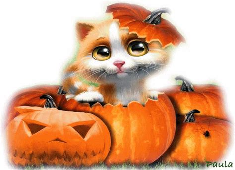 an orange and white cat sitting on top of two pumpkins with butterflies flying around