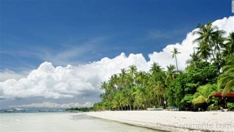 Panglao Beach - DesiComments.com