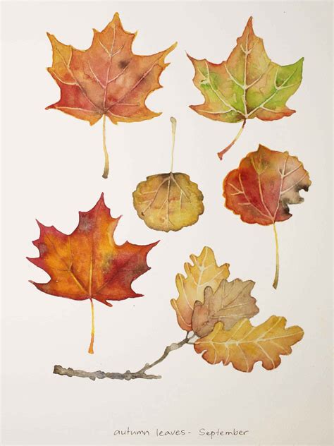 Watercolor Fall Leaves Tutorial - Dennis Henninger's Coloring Pages