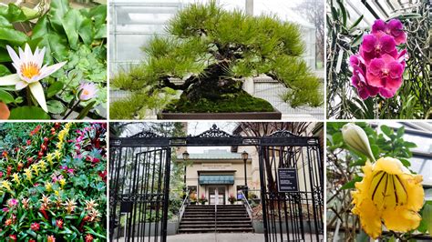 Escape From New York: A Sizzlin' Winter Tour of Brooklyn Botanic Garden ...