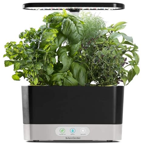 Bounty Elite Artisan | Aerogarden Bounty Basic Review 2022