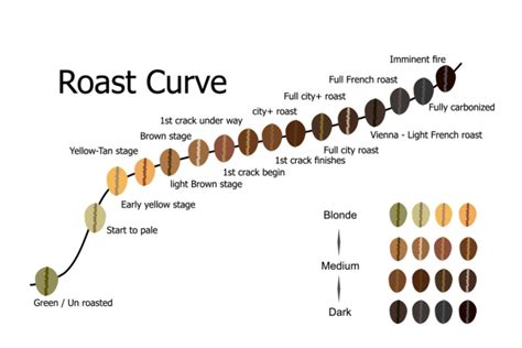 Roast Profile - Helena Coffee Vietnam | Definition in the Coffee Dictionary