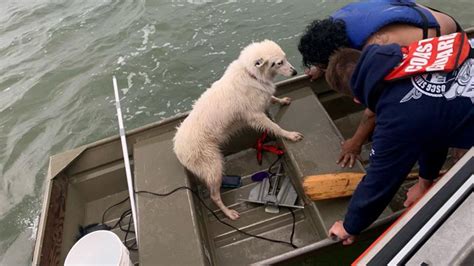 Overdue fisherman, dog rescued by Coast Guard near Texas City | khou.com