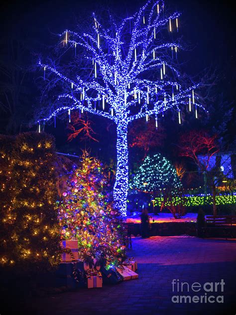 Butchart Gardens Christmas Lights Waterwheel Square Photograph by Mike Reid - Fine Art America