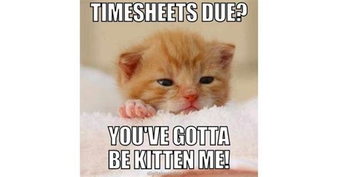 25 Funny Timesheet Memes And Reminders For The Forgetful | Work memes, Work humor, Funny ...